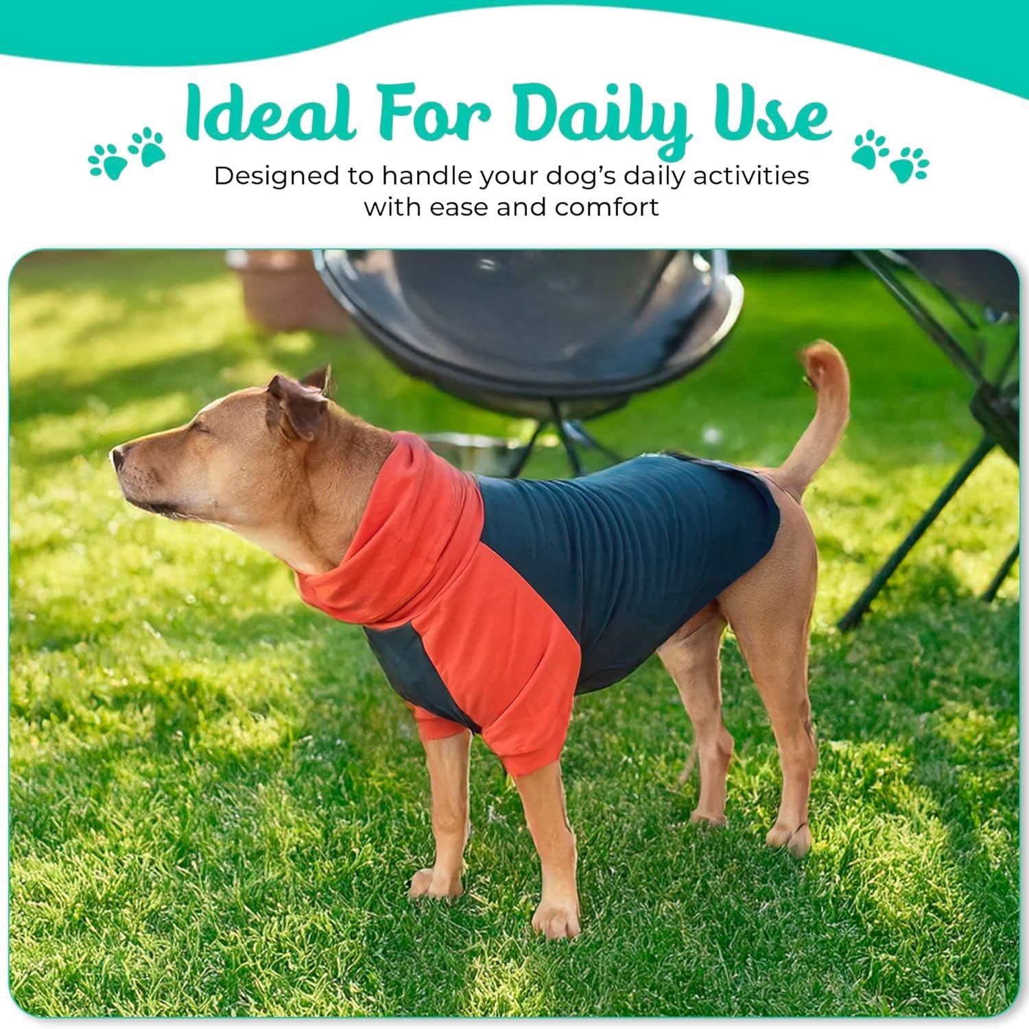 Pitbull Dog Sweater - Dark Green & Orange (Xx-Large)