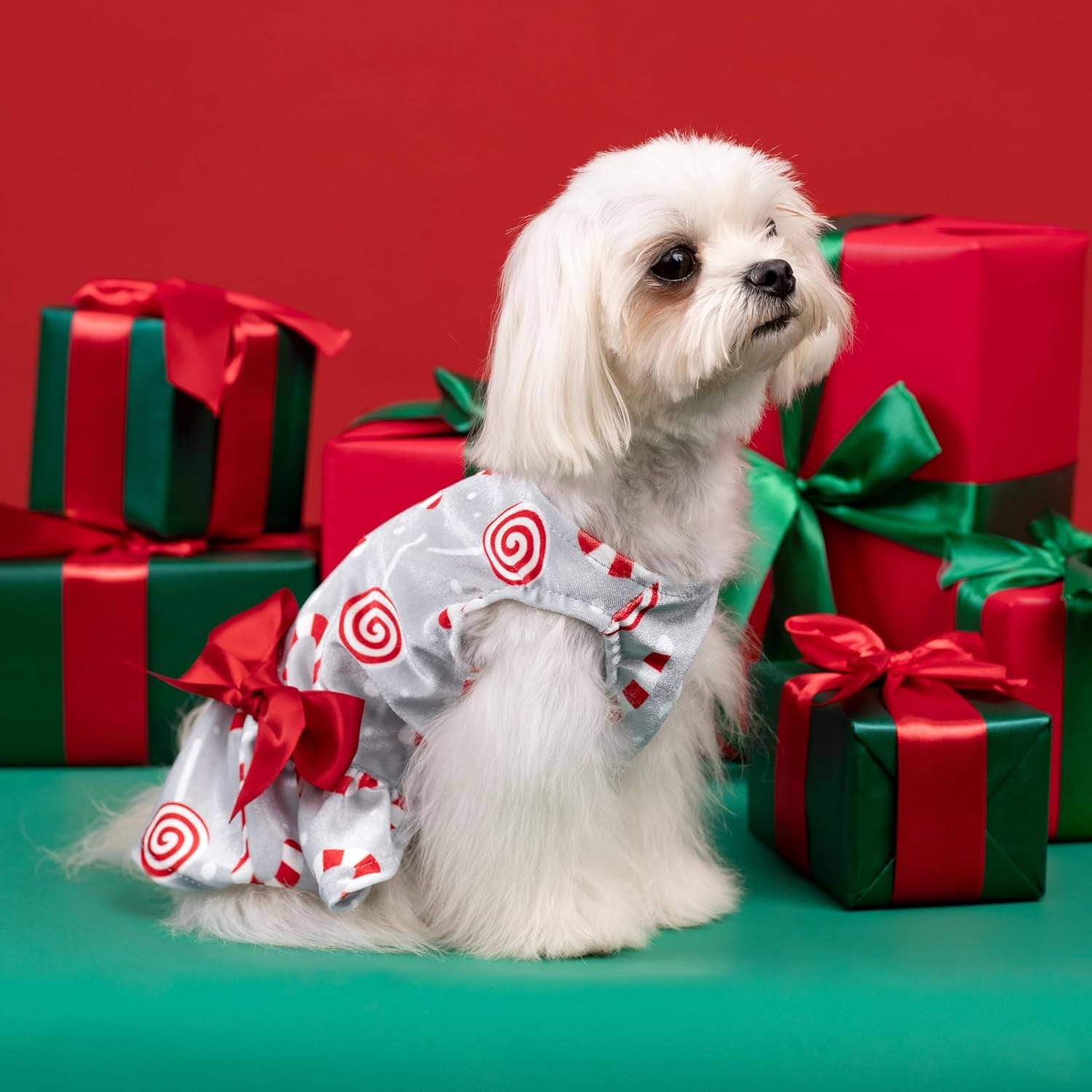 Christmas Candy Canes Dog Dress, Cute Dog Christmas Outfit, Doggy Clothes for Small Dogs Girl, Pet Apparel, Silver, Red, White, Large