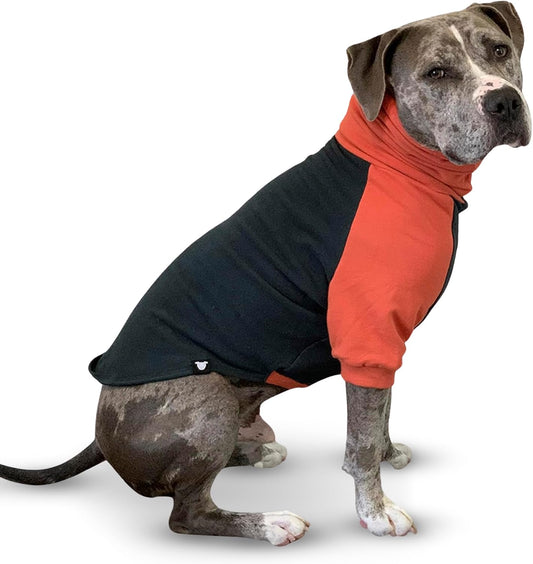 Pitbull Dog Sweater - Dark Green & Orange (Xx-Large)