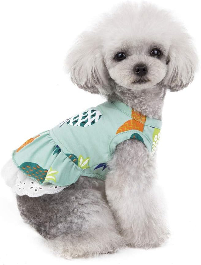 Cute Cartoon Princess Dog Dress Puppy Tutu Skirt Vest Apparel for Daily Life Birthday (Medium, Fruit Green)
