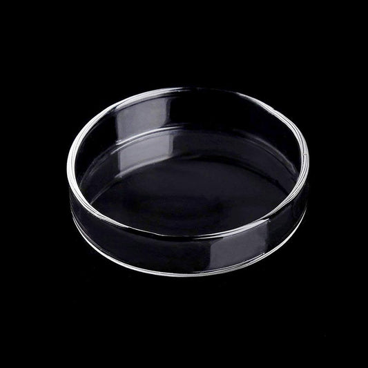 80Mm Aquarium Shrimp Feeder Dish Glass Fish Tank Feeding Bowls round Clear Dishes Tray