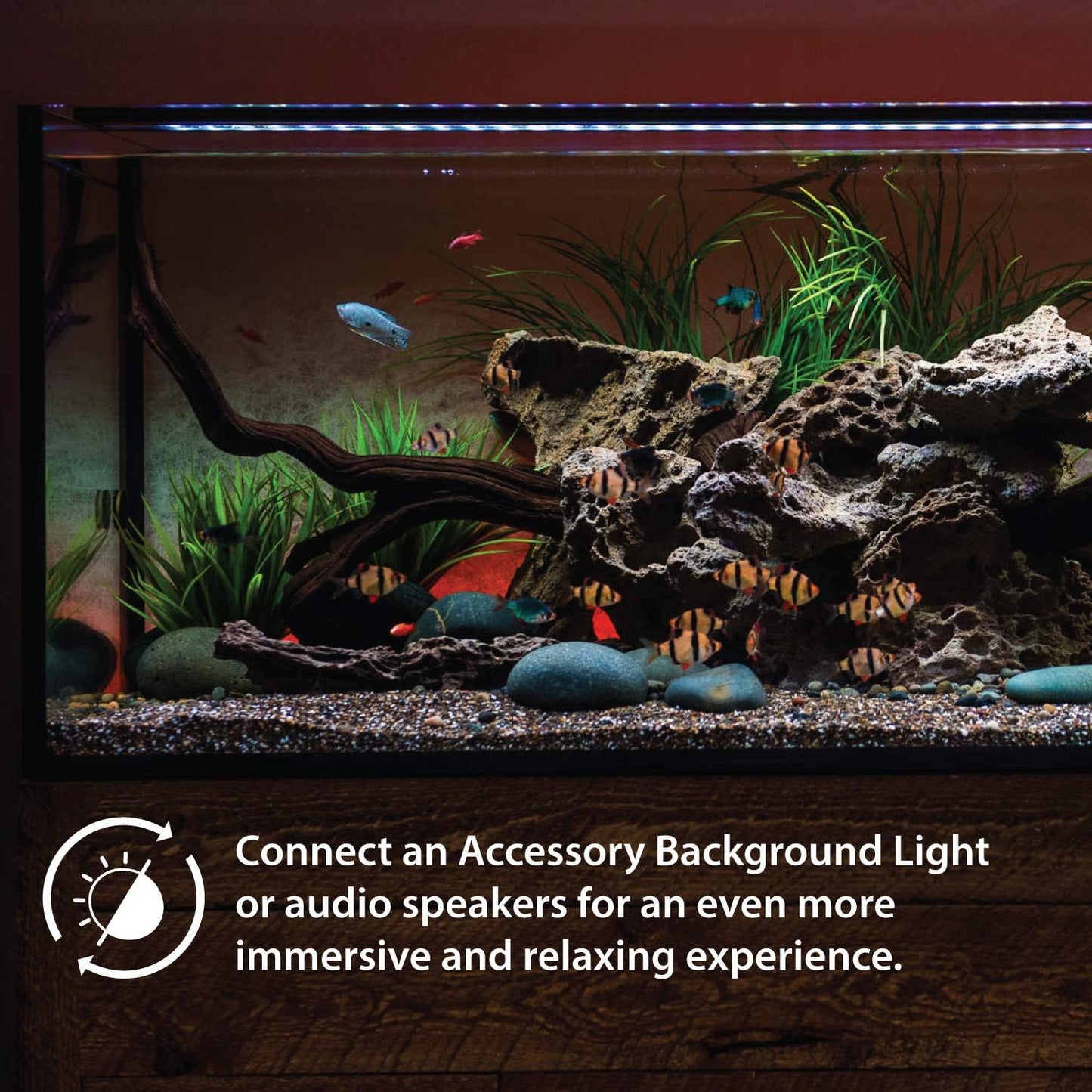 USA 24-36" Inch Satellite Freshwater LED plus Full Spectrum RGB+W Light for Aquariums | Wireless 24 Hour Remote Control Fish Tank Lighting (4506)