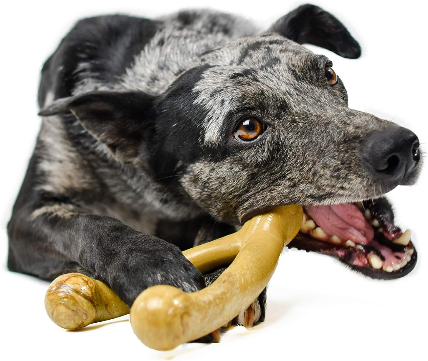 Wishbone Barkbone - Nylon Chew Toy for Aggressive Chewers - Peanut Butter Flavor - 6.75"