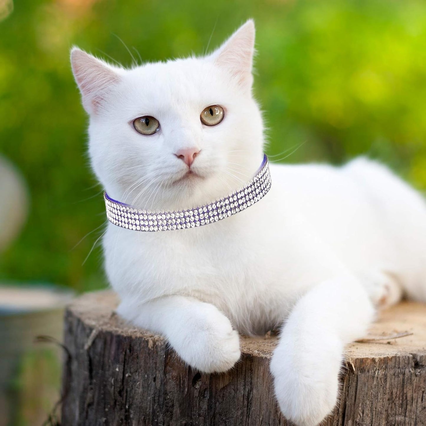 4 Pieces Rhinestones Cat Collars Breakaway Cat Collar with Bell Bling Pet Accessories with Soft Velvet, 4 Colors(S,Pink, Red, Black, Blue)
