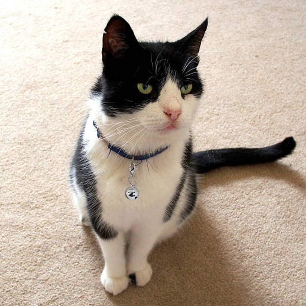 4 Sets Cat Bell for Dog Collar Charm Training Pet Pendant Accessories with 2 Pack Stainless Steel Dog Tag Clips(2 Small Silver)