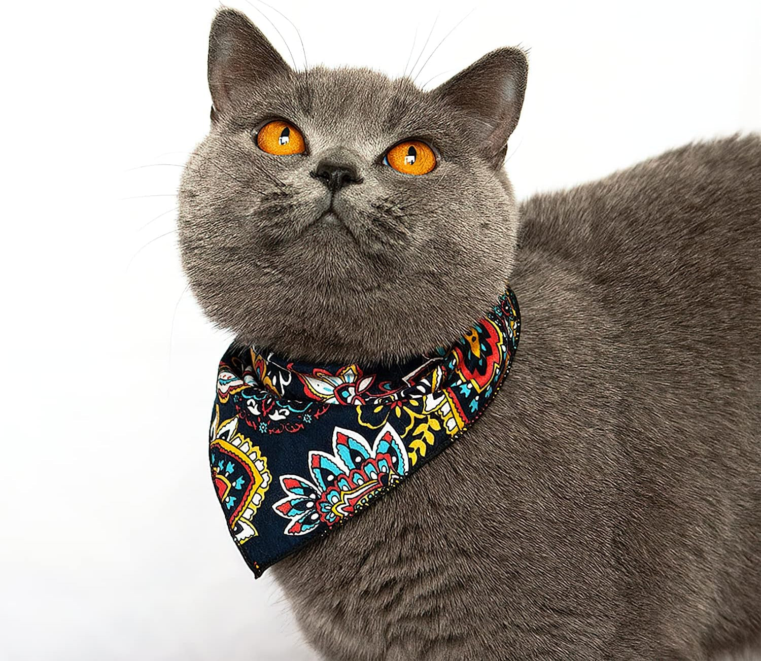 2 Pack Funny Pet Costume Accessories Set, Cat Small Dog Cowboy Hat with Adjustable Elastic Chin Strap and Bandana for Birthday Christmas Halloween Holiday Party Cosplay Daily Wearing
