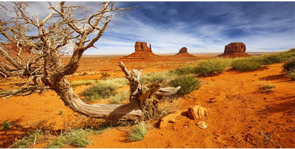 36X18 Inches Reptile Habitat Background Orange Desert Terrarium Background Durable Polyester Background
