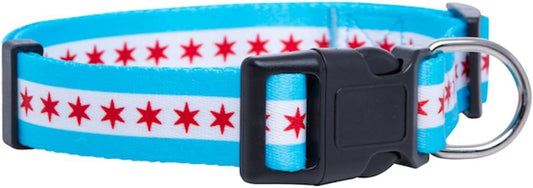 Chicago Flag Dog Collar (Chicago, Medium)