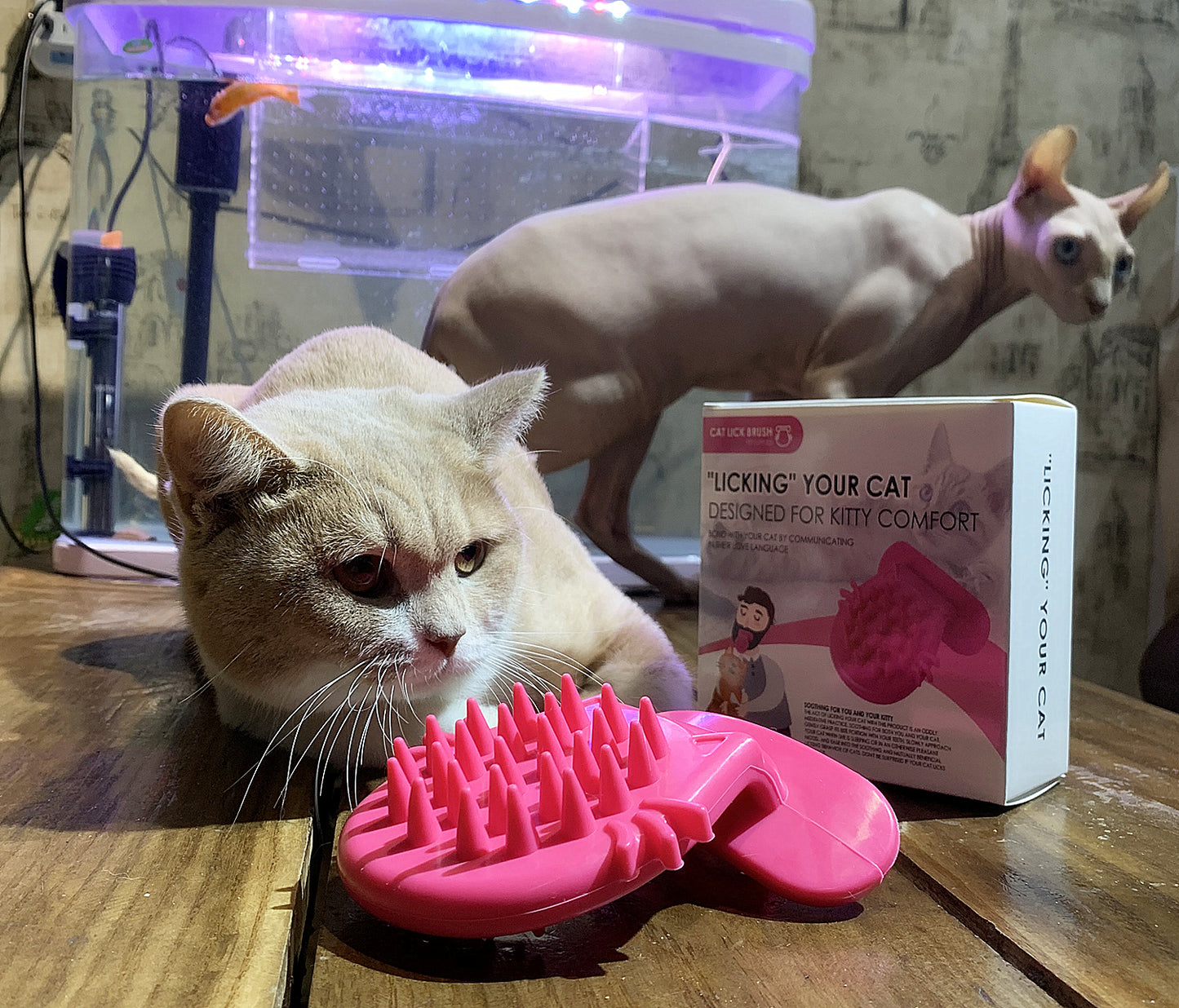 Cat Grooming Brush, Soft Massage Tongue Brush for Shedding, Licking Comfort like a Mama Cat, Surprise Pet Gift