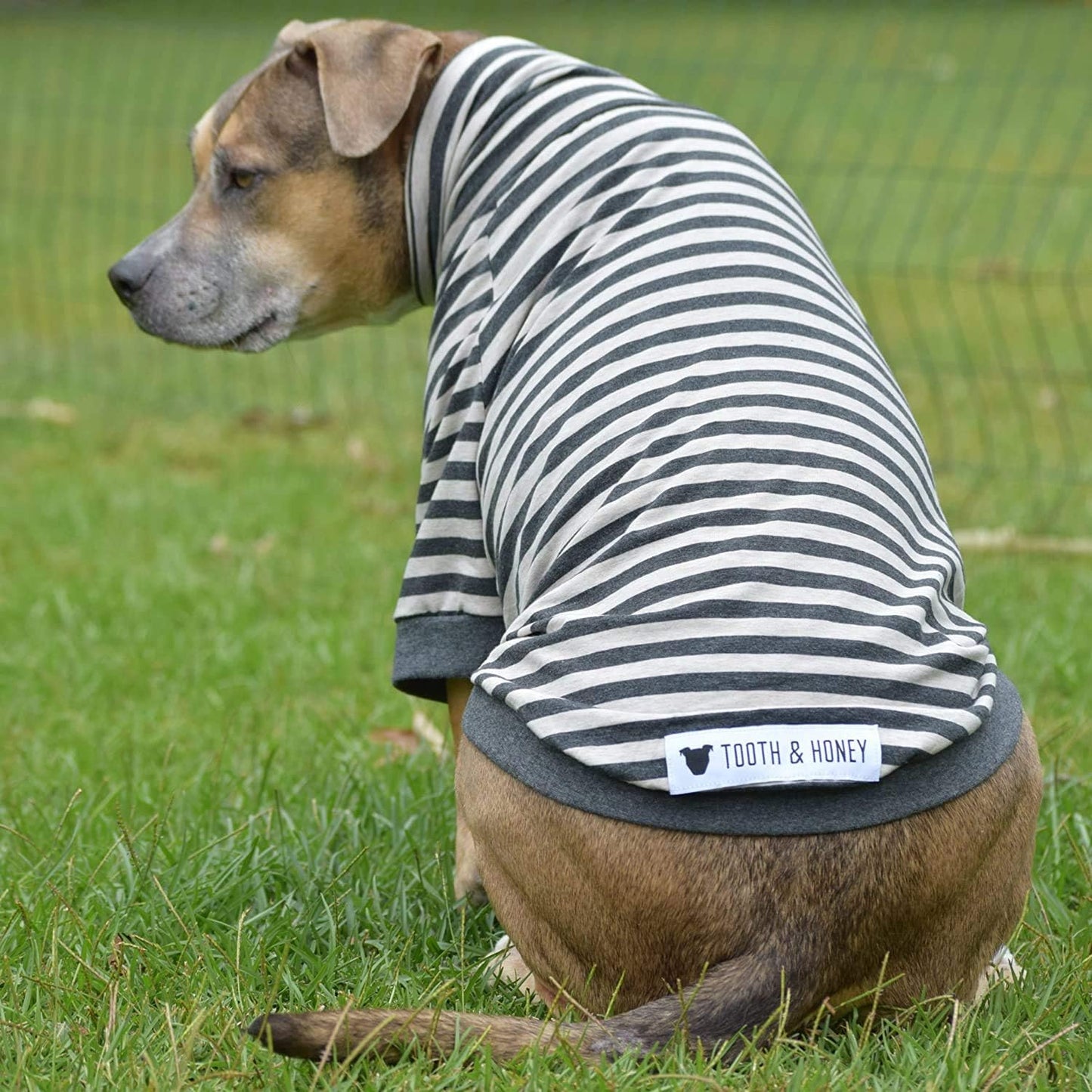 Large Dog Pullover – Breathable Cotton & Spandex with Full Underbelly Coverage – White & Gray Striped Shirt for Allergy & Summer Protection (XXL)