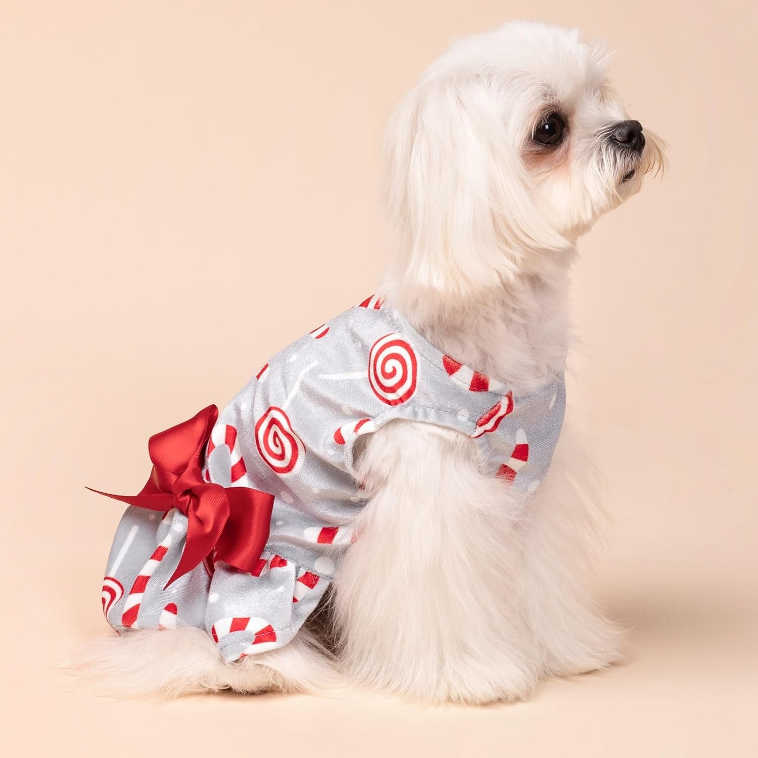 Christmas Candy Canes Dog Dress, Cute Dog Christmas Outfit, Doggy Clothes for Small Dogs Girl, Pet Apparel, Silver, Red, White, Large