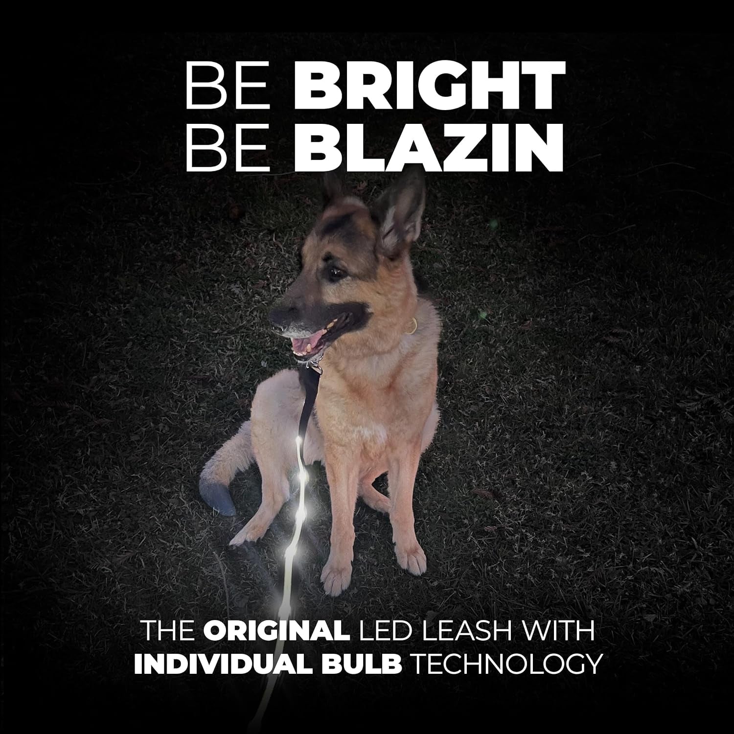 Light up Dog Leash - 1,000 Feet of Visibility - USB Rechargeable Waterproof Glow in the Dark Dog Leash - 4 Foot, Purple