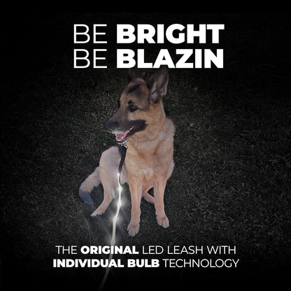 Light up Dog Leash - 1,000 Feet of Visibility - USB Rechargeable Waterproof Glow in the Dark Dog Leash - 4 Foot, Purple