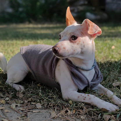 Set of 3 Dog Sweater with Leash Ring ​Fleece Pet Puppy Vest Winter Fall Clothes for Small Dog Boy Male Chihuahua Yorkies, (X-Small, Blue+Brown+Grey)