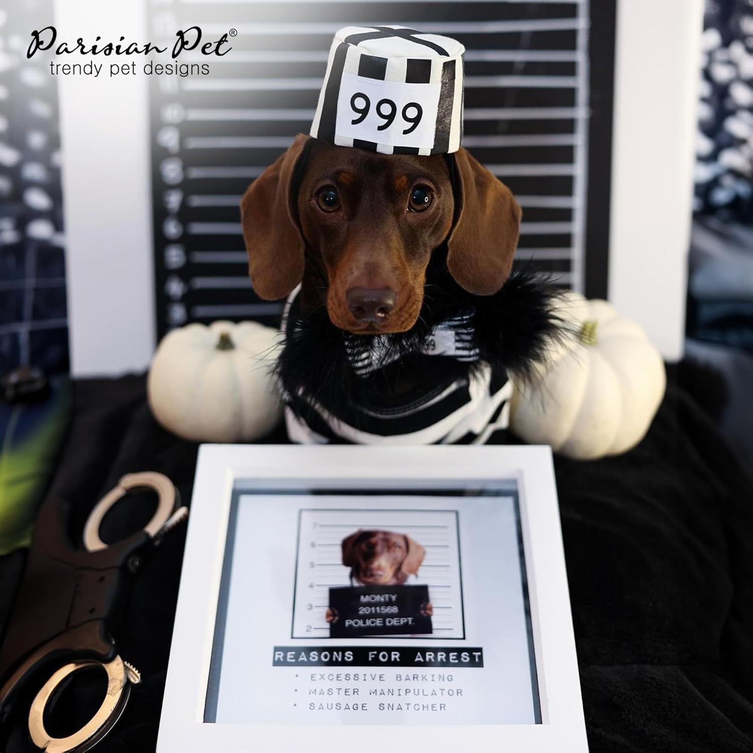 - Medium Dog Shirt - Black & White Striped - Cotton & Polyester - Sleeved & Lightweight - Prisoner Dog Theme