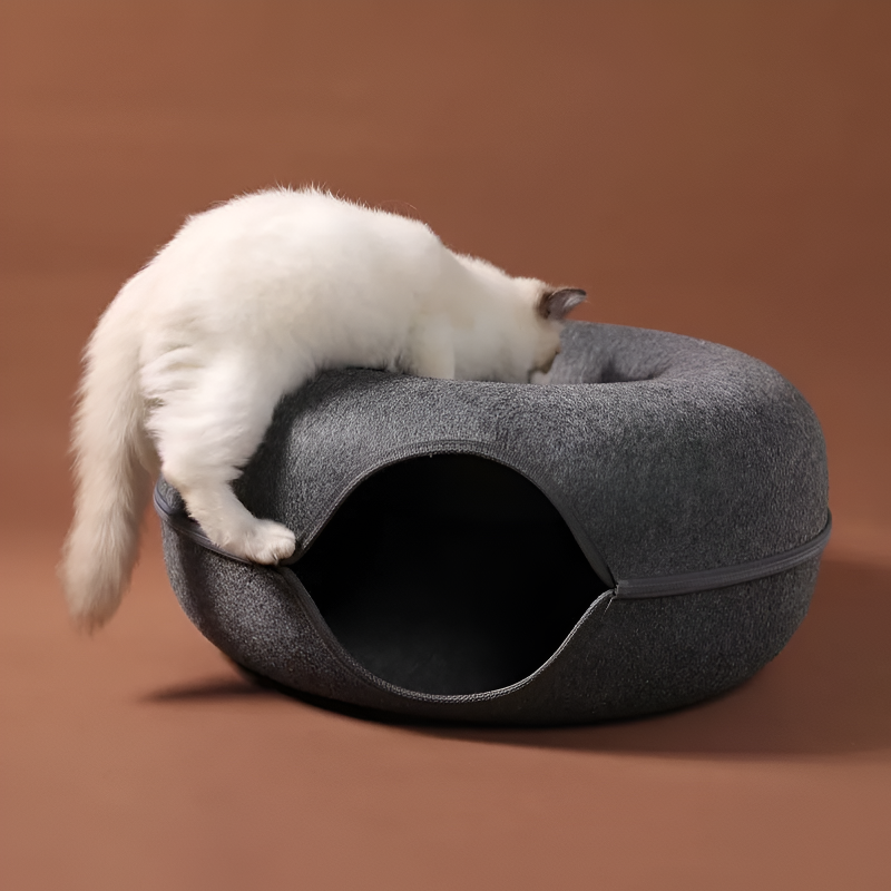 Playful Cat Tunnel Bed