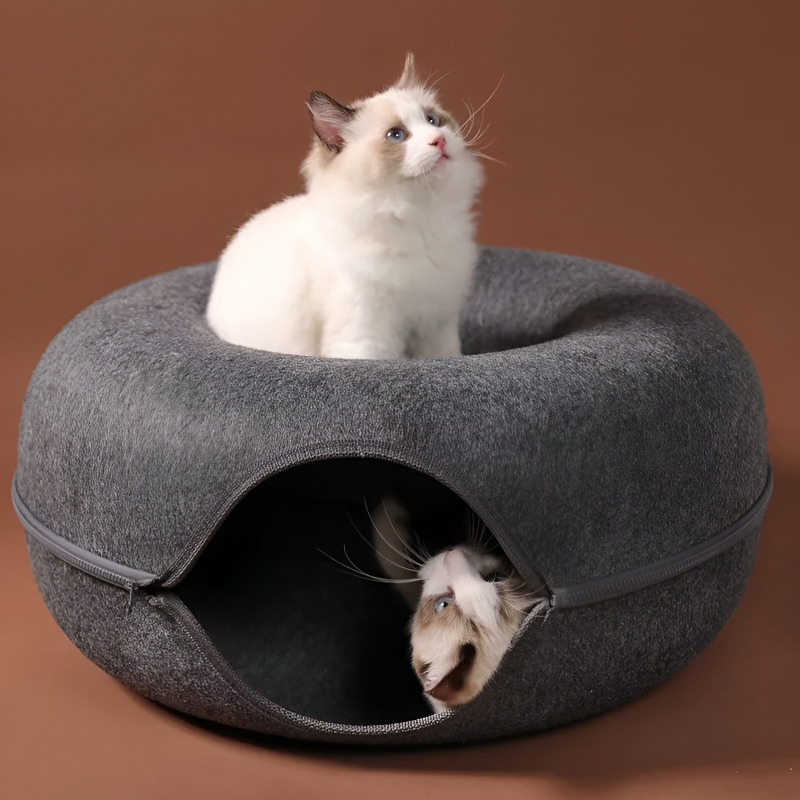 Playful Cat Tunnel Bed